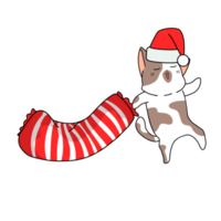 kitty cat cartoon character png