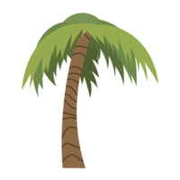 dessin animé palmier png