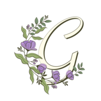 az alphabet floral dans un style de contour rempli png