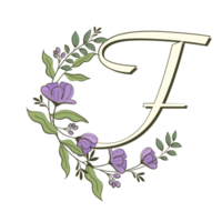 az alfabeto floral en estilo de contorno lleno png