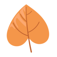 leaf cartoon in flat style png