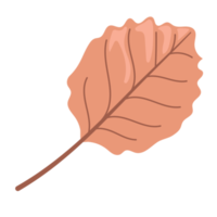 leaf cartoon in flat style png