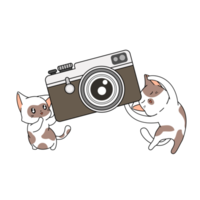 funny cat cartoon png