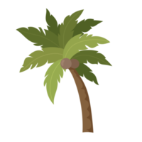 Palm tree cartoon png