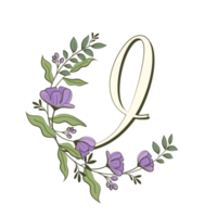 az alphabet floral dans un style de contour rempli png