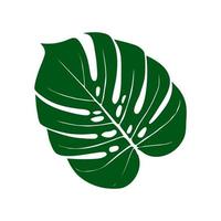 Monstera Deliciosa plant leaf from tropical forests isolated. Vector for greeting cards, flyers, invitations, web design