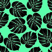 Monstera tropical leaf vector illustration. Summer print. Vector banner. ink line art design. Seamless Pattern.