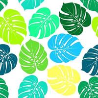 Ilustración de vector de hoja tropical monstera. estampado de verano. bandera vectorial diseño de arte de línea de tinta. patrón sin costuras