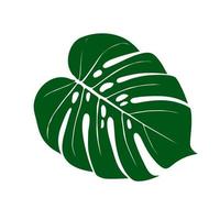 Hoja de planta de monstera deliciosa de bosques tropicales aislada. vector para tarjetas de felicitación, volantes, invitaciones, diseño web