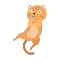 kattencartoon in vlakke stijl png