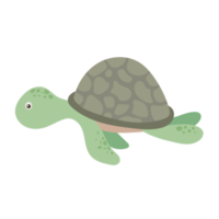 turtle cartoon in flat style png