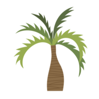 desenho de palmeira png