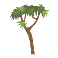 desenho de palmeira png