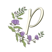 az alphabet floral dans un style de contour rempli png