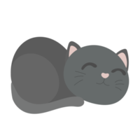 cat cartoon in flat style png