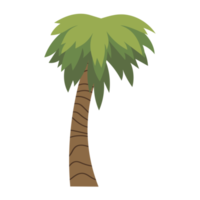 Palme Cartoon png