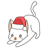 cute cat cartoon character png