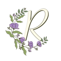 az alphabet floral dans un style de contour rempli png