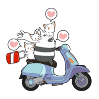 cute panda and cat cartoon png