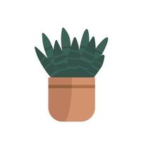 Hand drawn flat vector Cylindrical snake plant in the potted. Plants illustration isolated on white background.
