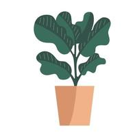 Hand drawn large natural houseplant in the modern potted flat vector. Plants illustration isolated on white background. vector