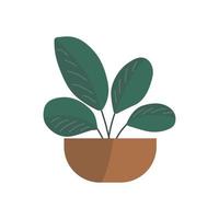 House plants in the half circle potted. Hand drawn vector. Plants illustration isolated on white background. vector