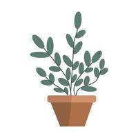 House plants in the minimalist potted. Hand drawn home plants in pots. Plants illustration isolated on white background.