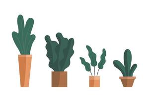 Vector set of plants. Potted plants collection sorted in order big to small. Hand drawn vector.