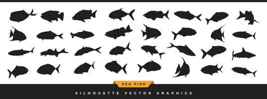 Sea fish silhouette. Collection of ocean fish silhouette. Hand-drawn sea animals vector icons set are illustrated in different poses isolated on white background.