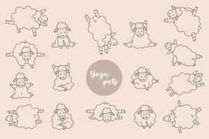 mascotas de yoga. hermosas ovejas se levantan en una asana y practican deportes, gimnasia y meditación. yoga de las ovejas - conjunto de imágenes lineales. ilustración vectorial. aislado. contorno, línea, contorno vector