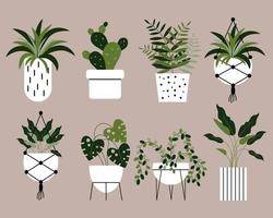 A set of home tropical plants in pots, floor and hanging. Icons, plant protection, vector