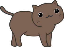 cute cat cartoon. kitty pet png