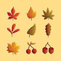 Fallen Leaves Icon vector