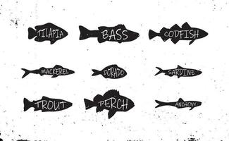 Set of silhouette of commercial fish. Collection of fresh raw edible cartoon fish with title. Object for packaging, labels, menus. Vector illustration.