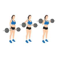 Woman doing Barbell drag bicep curls exercise. 21 bicep exercise. 7 Steps.Arm workout. Flat vector illustration of a fitness man isolated on white background