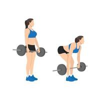 Woman doing Barbell deadlifts exercise. Flat vector illustration isolated on white background