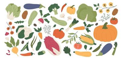 colorida colección de verduras orgánicas frescas y verduras comestibles. conjunto de cosecha agrícola de verano y otoño, cultivos naturales, ensaladas, hierbas. comida vegetariana saludable. ilustración en estilo plano. vector