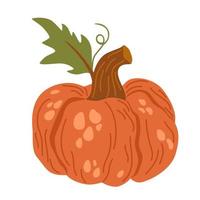 Pumpkin. Vegetables food. Autumn, fall, thanksgiving and Halloween decoration. Hand draw vector cartoon illustration isolated on the white background.