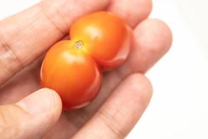 Tomato twins isolated on white background photo