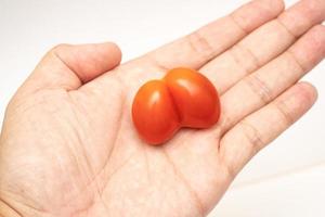 Tomato twins isolated on white background photo
