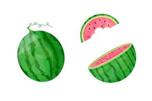 Collection of pink watermelons from different angles. Vector set of summer fruits. Use for posters, banners, posters, scrapbooking, stickers, decorations, covers.