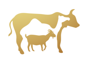 Creative Banner Cow, Camel and Goat, Eid Al Adha Mubarak png