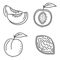 Peach icons set, outline style vector