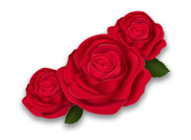 rouge foncé, fleur rose rubis aux feuilles vertes, png