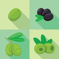 Fresh olives icon set, flat style vector