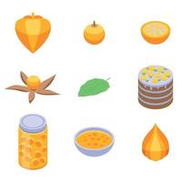 Physalis icons set, isometric style vector