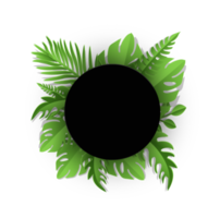 Sign with text space of Tropical Leaves png