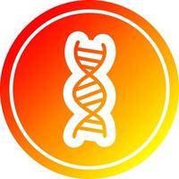 DNA chain circular in hot gradient spectrum vector