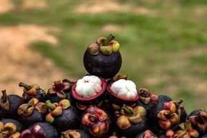 Mangosteen is a fruit from Asia that has been very popular. Mangosteen has been known as The Queen of Fruits photo