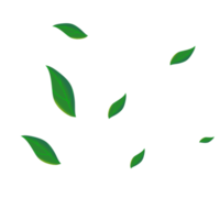 Leaves green flip art png